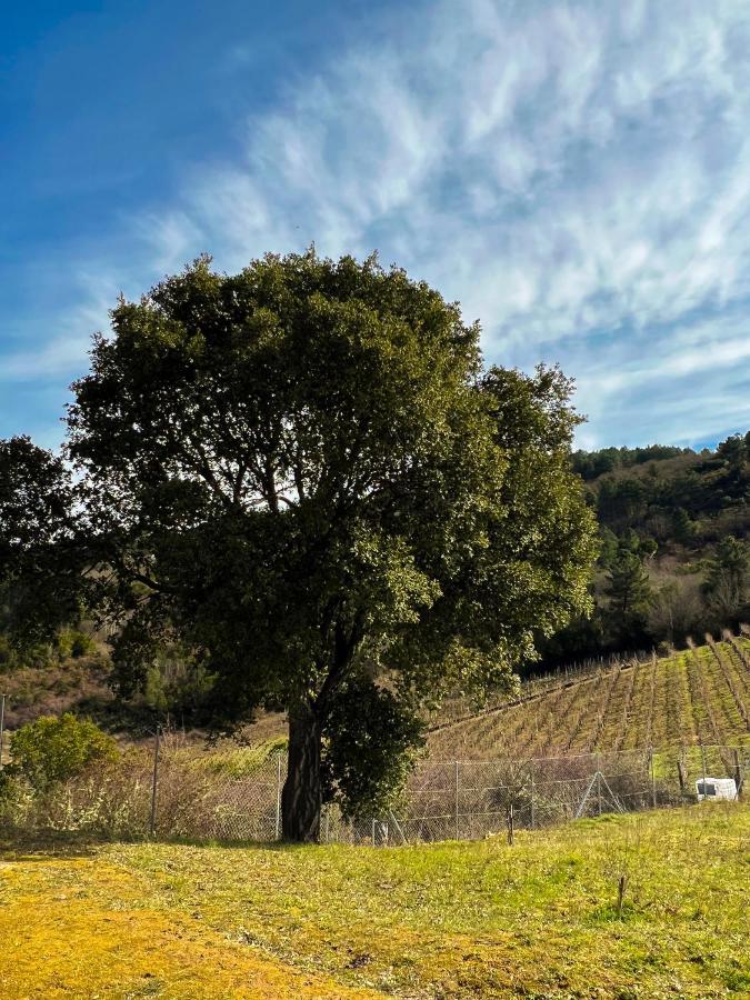 A Portelina Casa Rural Villa Rubiá Kültér fotó